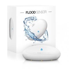 Sensor de inundación FGFS-101