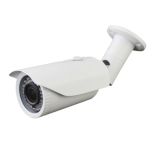 Camara IP 1080p Tecatel