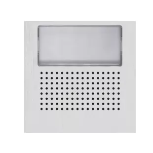 Golmar Audio/Video Grille Module without Push Buttons in Aluminium